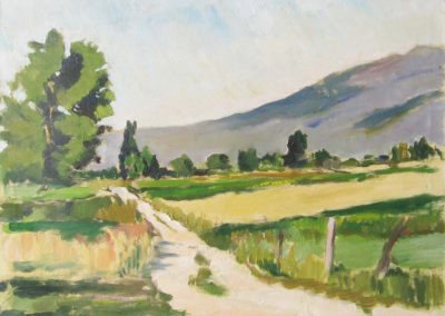 Landscape of Cerdanya
